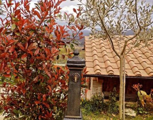 Il Podere Di Massi Барберино-ди- Муджелло Экстерьер фото