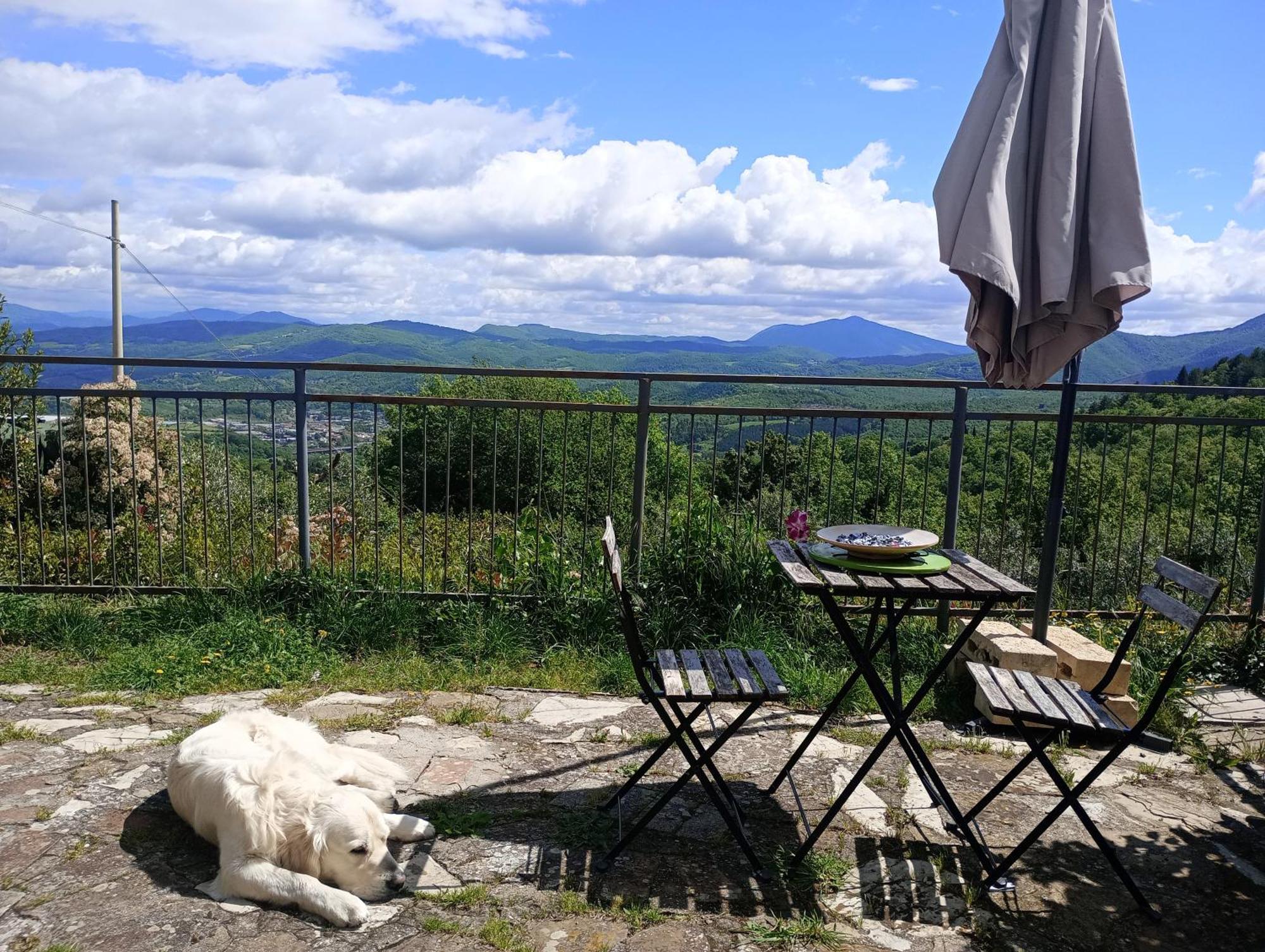 Il Podere Di Massi Барберино-ди- Муджелло Экстерьер фото